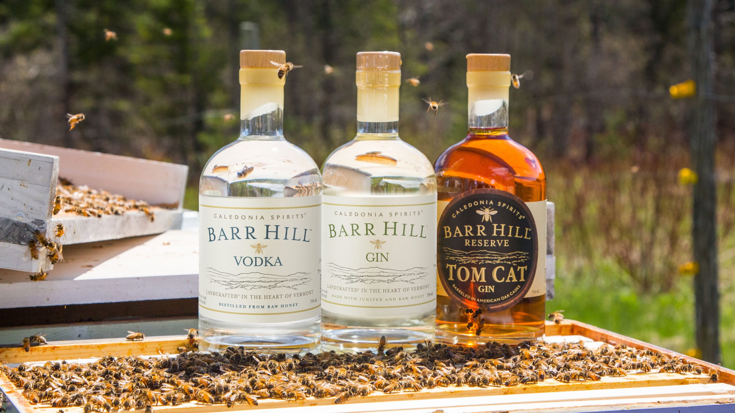 Barr Hill Vodka, Gin, and Tom Cat Gin on a bee's nest
